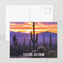Recherche de de cactus cartes postales Saguaro