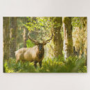 Recherche de wapiti puzzles Bois