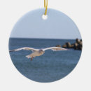 Recherche de volant ornements Pour tous