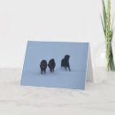 Zoek naar equine kaarten Sneeuw