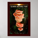 Recherche de écosystème posters Nature