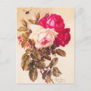 Recherche de rose rouge vintage cartes postales Roses