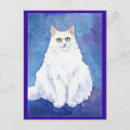 Recherche de chaton blanc cartes postales Mignonette
