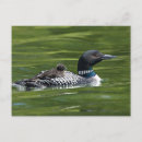 Recherche de comportement cartes postales Canada