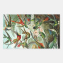 Recherche de haeckel autocollants Nature