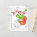 Recherche de herboriste cartes postales Pour tous