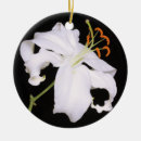 Zoek naar lily ornamenten Groen