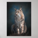 Recherche de lynx posters Mignon