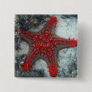 Recherche de petit bateau badges Voilier