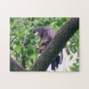 Recherche de aigle puzzles Rapace