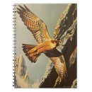 Recherche de faucons carnets Oiseau de proie