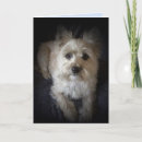 Recherche de terriers de cairn vœux cartes Salutation