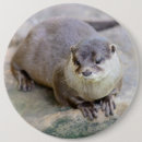 Recherche de otter badges Animal