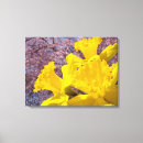 Zoek naar narcissen kunst Fotografie