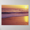 Zoek naar californië strand posters Zee