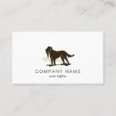 Recherche de chiens de chasse Animal familier