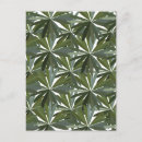 Recherche de illustrations botaniques cartes postales Verdure