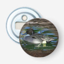 Recherche de canard ouvre bouteilles Oiseau