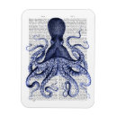 Recherche de sealife Silly