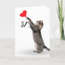 Recherche de 31ème anniversaire cartes Pour tous