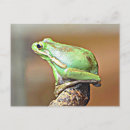 Recherche de grenouille verte cartes postales Arbre
