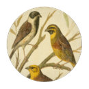 Recherche de oiseaux planches à découper Oiseau jaune