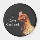 Recherche de poules magnets Ferme