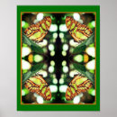 Zoek naar groene vlinder posters For her