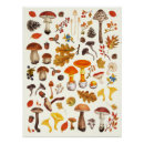 Recherche de de champignon posters Botanique