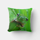 Recherche de grenouille verte coussins Amateurs de grenouilles