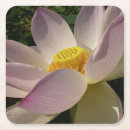 Recherche de nénuphar dessous de verres Jardin