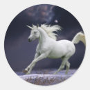 Recherche de nuit arabe autocollants Cheval
