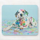 Recherche de dalmatiens tapis souris Chiot