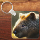 Zoek naar wombat sleutelhangers Dier