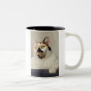 Recherche de cat mom tasses Amoureux des chats