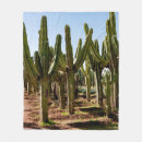 Zoek naar klimaat dekens Arid