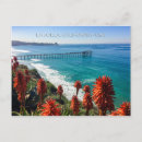Recherche de la jolla cartes postales Littoral