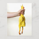 Recherche de choqué cartes postales Oiseau