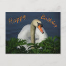 Recherche de cygne vœux cartes Pour tous