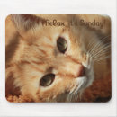 Recherche de humour animal tapis souris Chaton