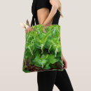 Recherche de cloche sacs Plante