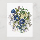 Zoek naar vintage botanisch briefkaarten Paars