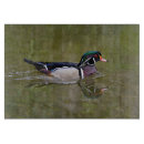 Recherche de canard planches à découper Faune