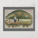 Recherche de autruche cartes postales Vintage