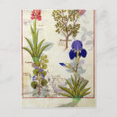 Recherche de testard cartes postales Médecine