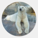 Recherche de polaire autocollants Animaux