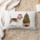 Recherche de beagle drôle maison deco Humour