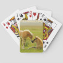 Recherche de se reposer jeux de cartes Nature
