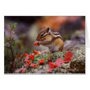 Recherche de brouiller cartes postales Automne