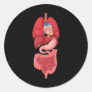 Zoek naar anatomie stickers Diagram